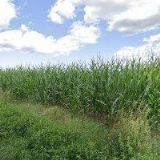 ILŠNER MARTIN-AUTOSERVIS