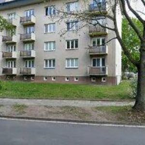 obrazek: avatar HOŠEK ROMAN