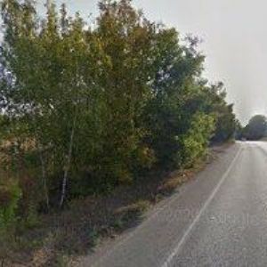 obrazek: avatar AUTODÍLY DUCHCOV