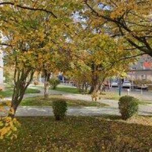 obrazek: avatar HLINOVSKÝ MIROSLAV