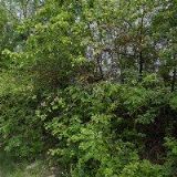 HINDRÁK LEOŠ-AUTOSERVIS