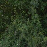 AUTOTRIOSERVIS , s.r.o.