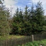 CAJHAM MIROSLAV-AUTOOPRAVNA