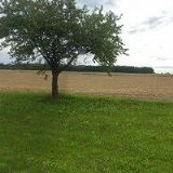 AUTUM CZ