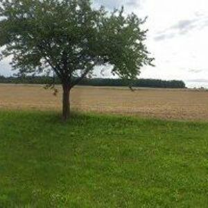 obrazek: avatar AUTUM CZ