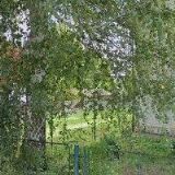 PAKANTL TOMÁŠ-TOMPAOIL