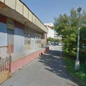 obrazek: avatar TIŠER PETR-TIMOS