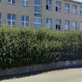 TRAFO CZ-TRANSFORMÁTORY