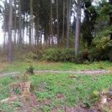 D & F COMPANY s.r.o.