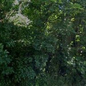 obrazek: avatar MUSIL LADISLAV Ing.