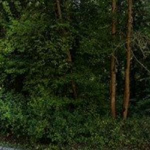 obrazek: avatar BRIDGE GROUP s.r.o.