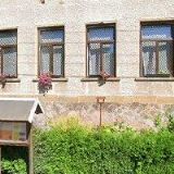 GREENHORNS-SVOBODNÝ ODDÍL