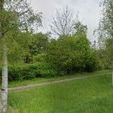 STEINEROVÁ PAVLÍNA