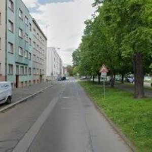 obrazek: avatar ALIQUANTULUM