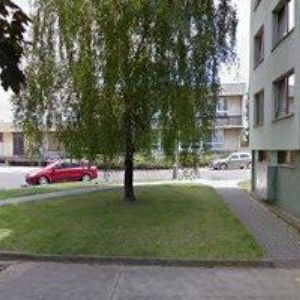 obrazek: avatar HROMÁDKA JAN-CK CARABUS