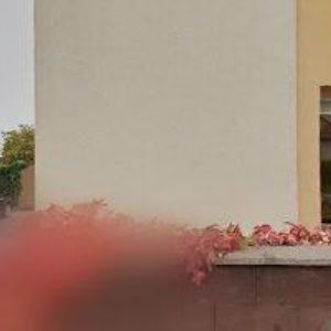 obrazek: avatar DOUŠOVÁ MILUŠE