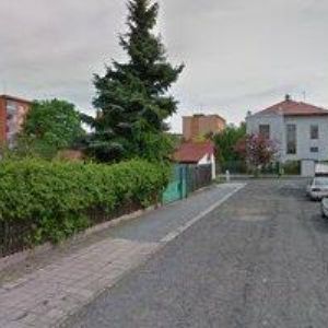 obrazek: avatar ŠPŮRKOVÁ DITA Mgr.