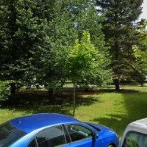 obrazek: avatar SCHWARZ RENÉ