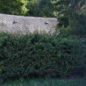 obrazek: avatar Bc. RENATA ŠINDELÉŘOVÁ