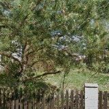 PŘEKLADY-SCHAFEROVÁ MARTINA Mgr.