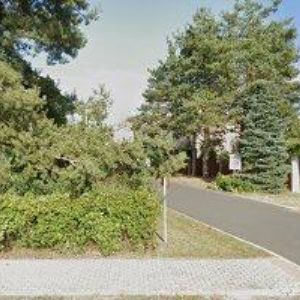 obrazek: avatar PREŠLOVÁ KATEŘINA