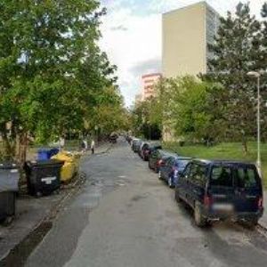 obrazek: avatar CECHOVÁ RENATE