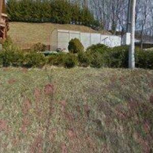 obrazek: avatar ANTOŠOVÁ KLÁRA-PŘEKLADY,VÝUKA