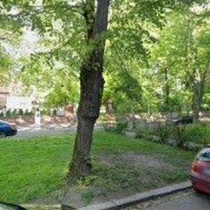 obrazek: avatar GROSSMAN ROMAN