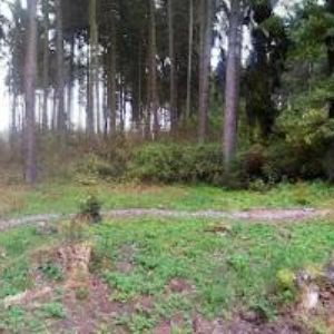 obrazek: avatar REZIDENCE ZÁMEČEK