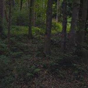 obrazek: avatar LS ROYAL MARIÁNSKÉ LÁZNĚ a.s.