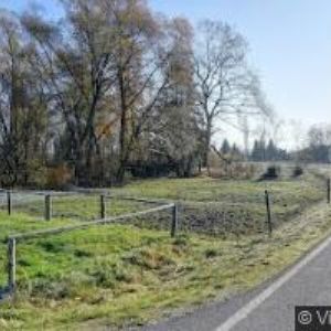 obrazek: avatar ŠIMÁČKOVÁ EVA