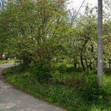 PENZION STATEK CETNOV