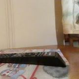 RESTAURANT-PENZION DARO