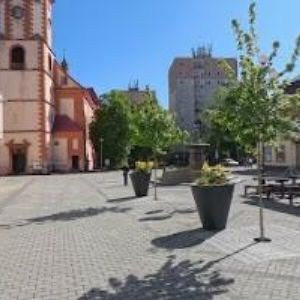 obrazek: avatar PENZION PIANO