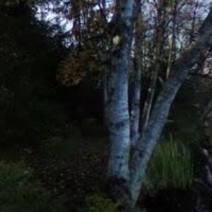 obrazek: avatar RESTAURANT A PENZION U TETŘEVA