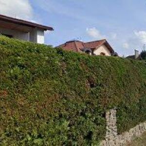 obrazek: avatar PENSION LIDO
