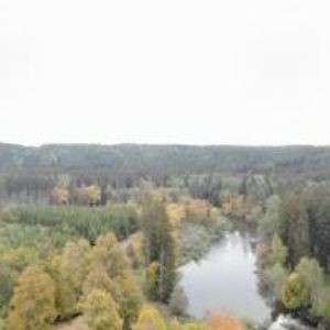 obrazek: avatar HUBERTUS PENSION