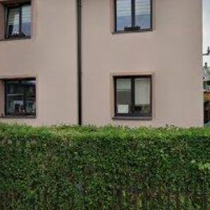 obrazek: avatar ŠŤASTNÝ ERIK