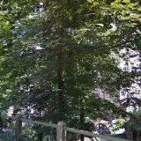 APARTMÁNY VILLA LIBERTY