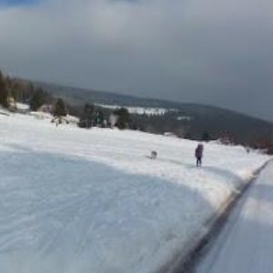 obrazek: avatar PENZION LOGLA