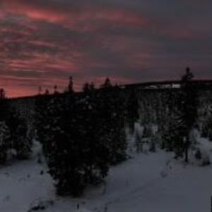 obrazek: avatar LESNÍ BOUDA