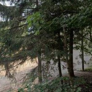 obrazek: avatar CHATA EVA