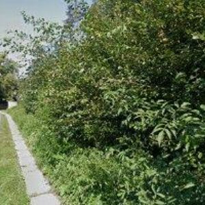 obrazek: avatar U KOUPALIŠTĚ CHATOVÁ OSADA