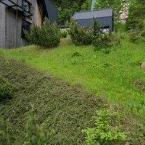 obrazek: avatar APARTMÁNY DALIBOR