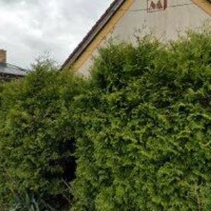 obrazek: avatar M-STAV HK s.r.o.