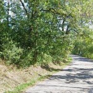 obrazek: avatar EDEN REKREAČNÍ ZAŘIZENÍ A KEMP JINOLICE , s.r.o.