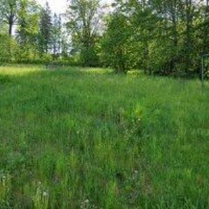 obrazek: avatar HORSKÝ HOTEL VLTAVA