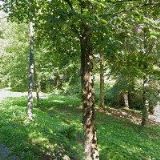 HORSKÝ HOTEL KONŠEL