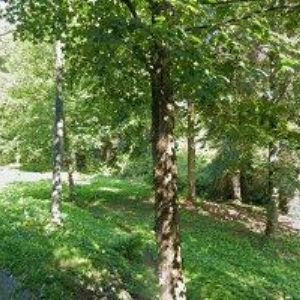 obrazek: avatar HORSKÝ HOTEL KONŠEL