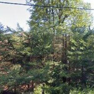 obrazek: avatar CHATA ORLICE